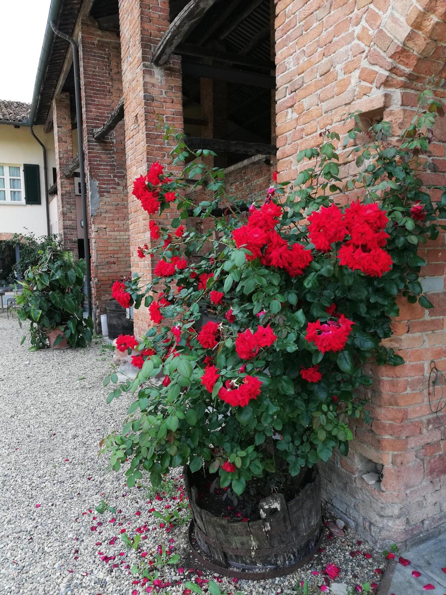 La Giribaldina Winery & Farmhouse Calamandrana Exterior photo
