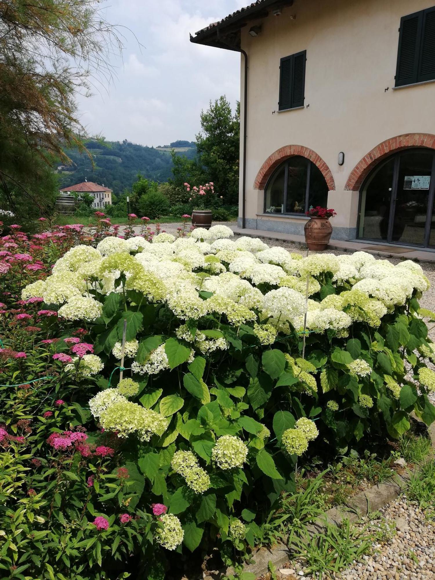 La Giribaldina Winery & Farmhouse Calamandrana Exterior photo